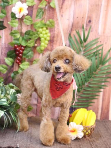 20230820颯太くん